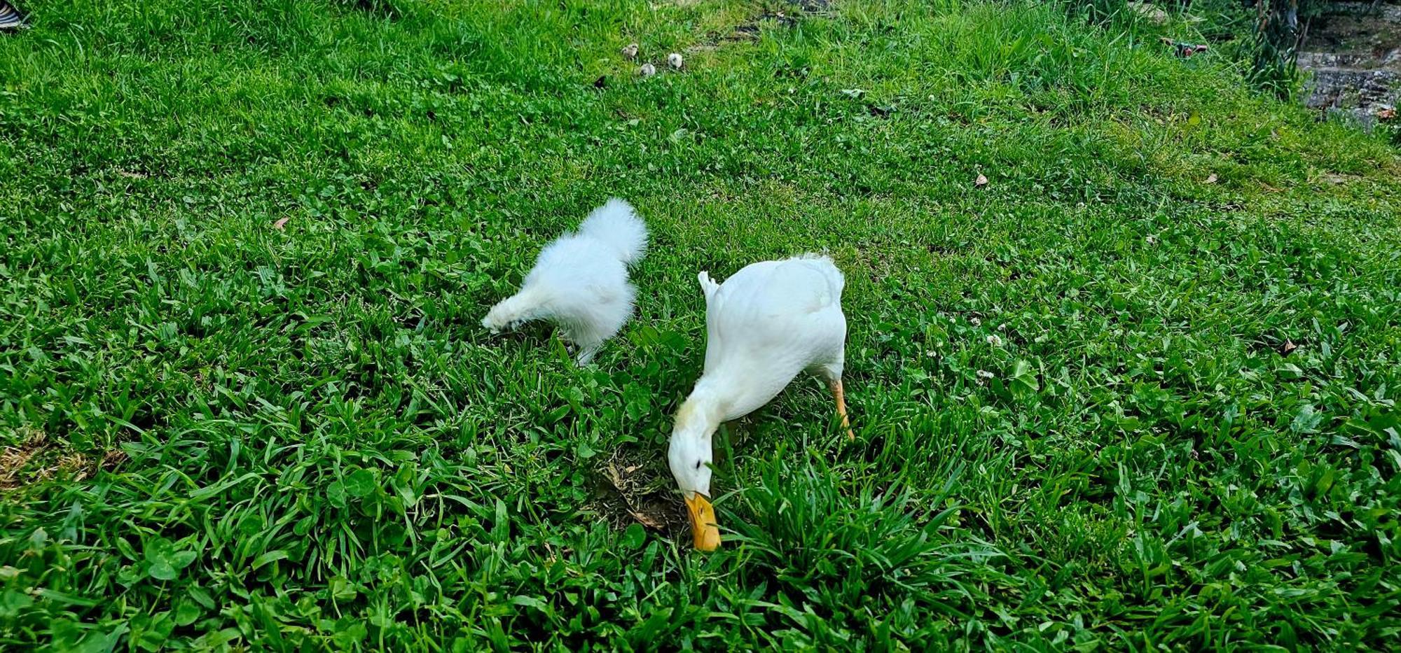 Riverhouse - Near River - Near Ocean - Near Porto Ngoại thất bức ảnh